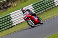 Vintage-motorcycle-club;eventdigitalimages;mallory-park;mallory-park-trackday-photographs;no-limits-trackdays;peter-wileman-photography;trackday-digital-images;trackday-photos;vmcc-festival-1000-bikes-photographs